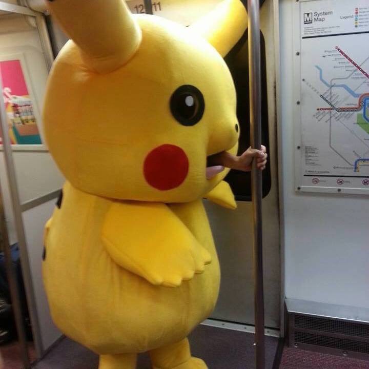 fig:character:pikachu_train.jpg