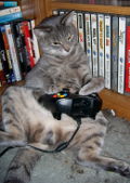 fig:recommended:xbox_cat.jpg